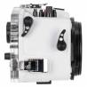 Caisson IKELITE DL200 pour CANON EOS R5